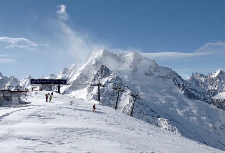 실내 공기질 향상을 위한 필수 가이드