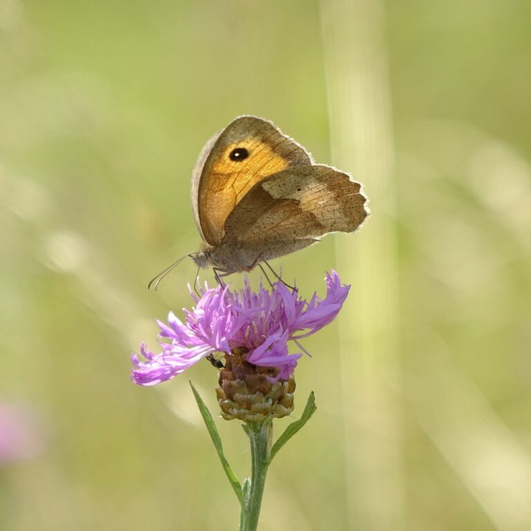서울 누네 안과 병원, 믿고 방문할 수 있는 안과 클리닉