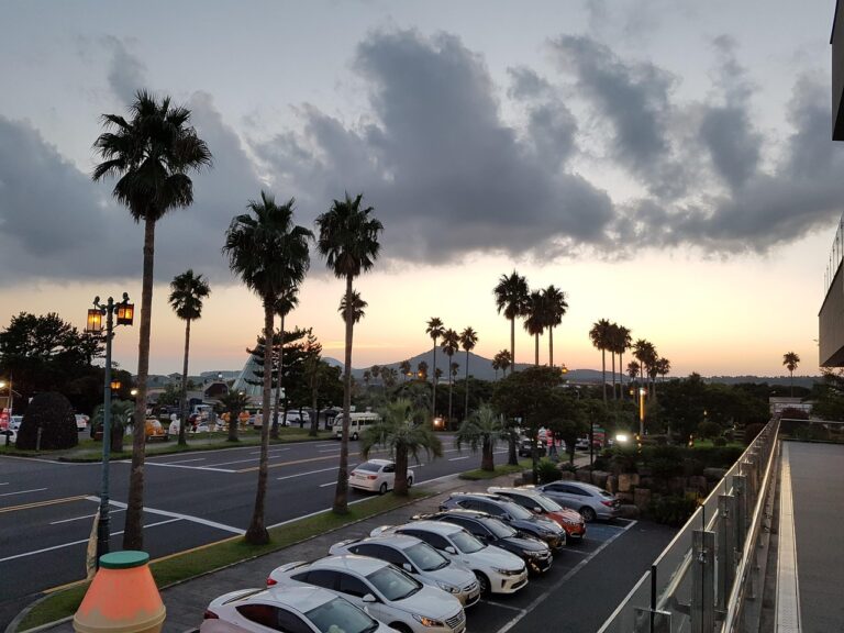 제주 렌트카 완전 자차 이용 가이드: 편리하고 경제적인 선택