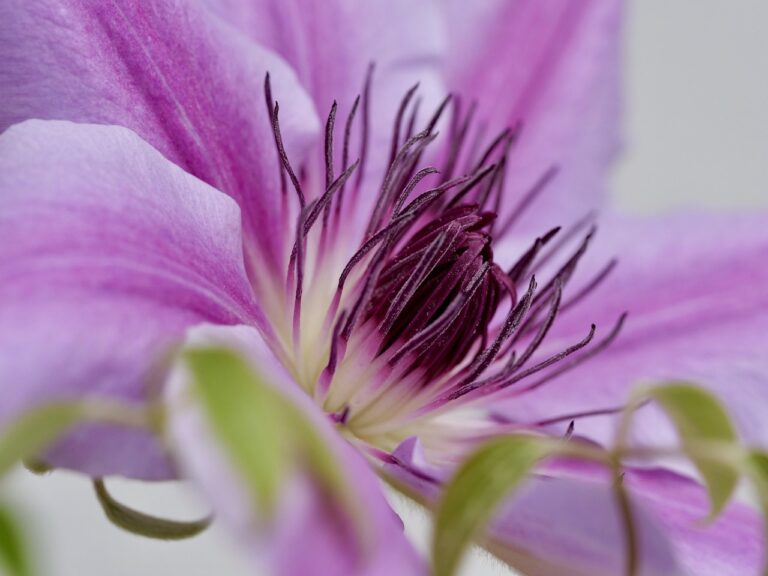 LG 공기 청정기 퓨리 케어, 깨끗한 공기를 위한 최선의 선택