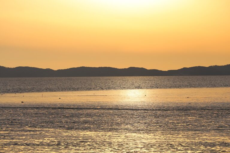 인천 탈모 병원, 효과적인 치료와 관리 방법