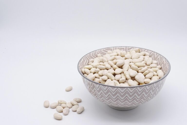 프로틴 다이어트: 효과적인 체중 관리와 건강한 몸을 위한 완벽 가이드