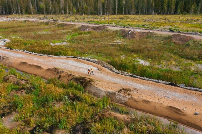 신용 회복 중고차 할부로 새로운 시작하기