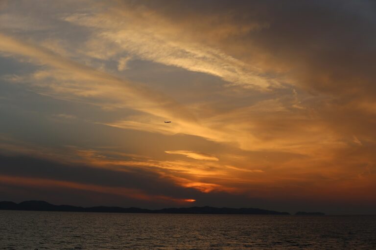 인천 하수구 막힘 문제 해결 방법과 필수 정보