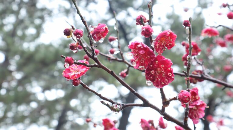 부산 도배: 내 집을 바꾸는 가장 쉬운 방법