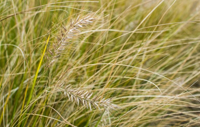 학점 은행제 수강 신청 방법과 유의사항