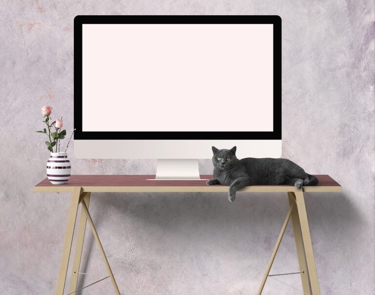 온라인 직무 교육의 모든 것: 효율적인 직무 역량 강화 방법