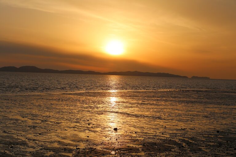 인천 가구 할인 매장에서 저렴하게 소중한 가구를 구매하는 방법