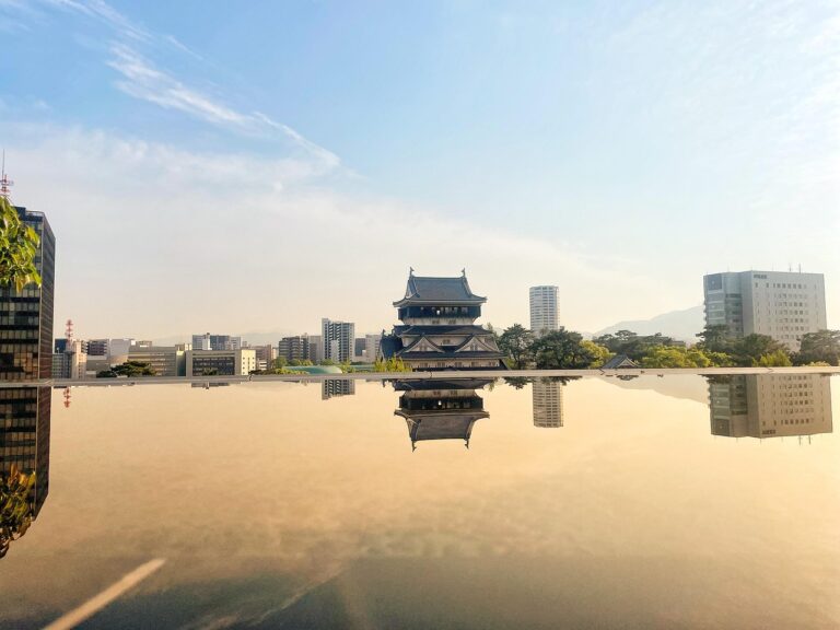 아이폰 플립 케이스: 완벽한 보호와 스타일의 조화