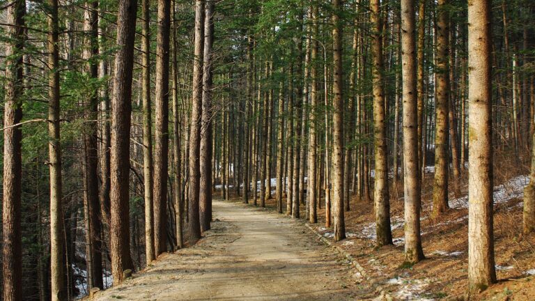 엘지 유 플러스 직영점: 고객을 위한 최상의 서비스 제공