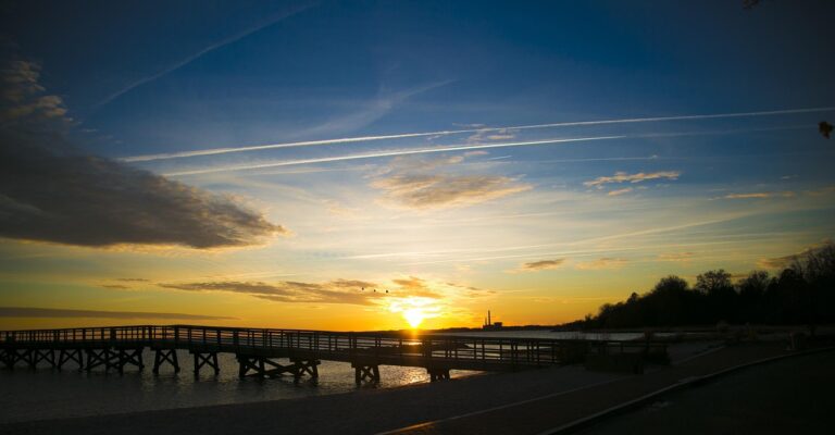 광주 이사짐 센터, 믿을 수 있는 이사 서비스 알아보기