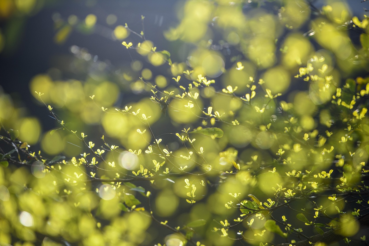 운전면허 갱신 신청 후 은행 계좌 개설