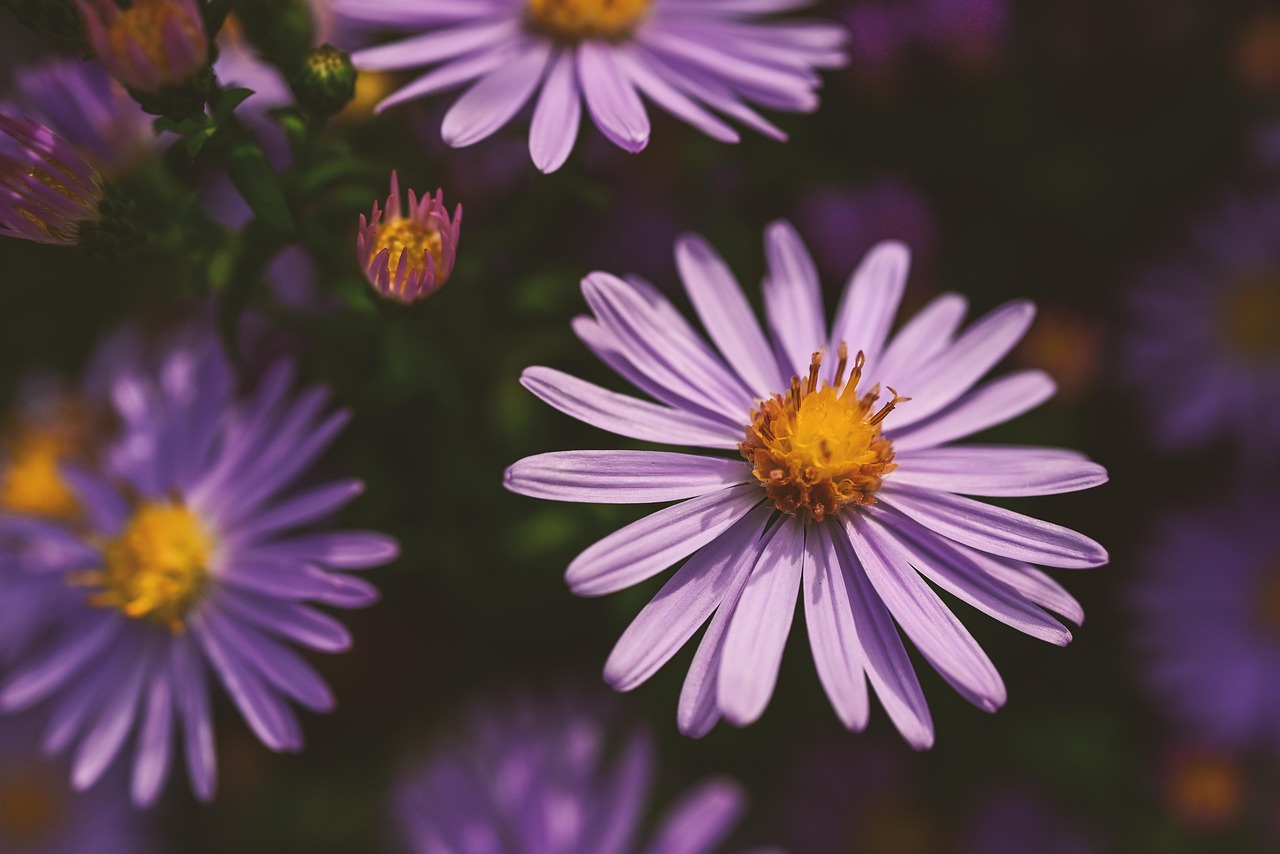 울산대학교 동계 입사 신청