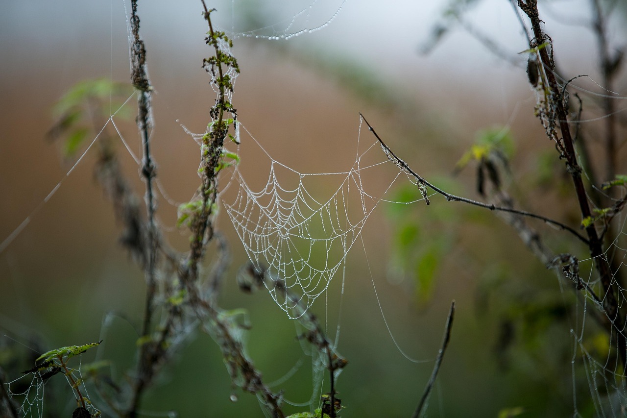 웹하드 전용프로그램 위 변조 등록 신청