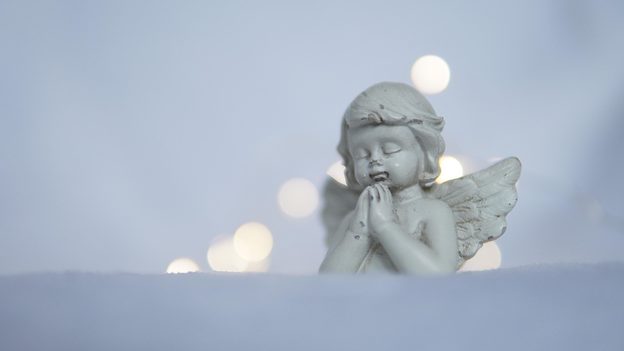 위비온카드 신청