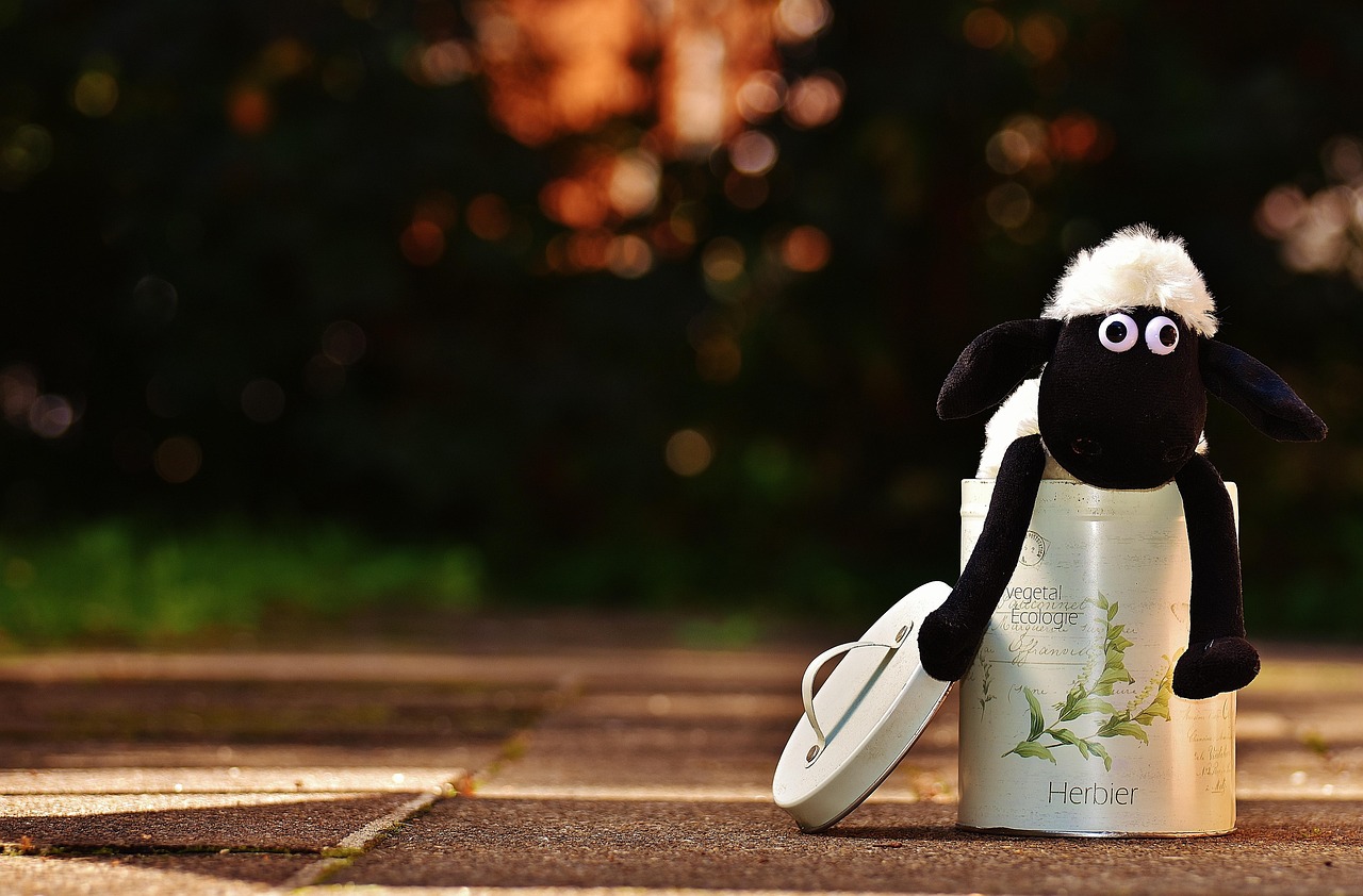 워킹홀리데이 신청 가능 횟수