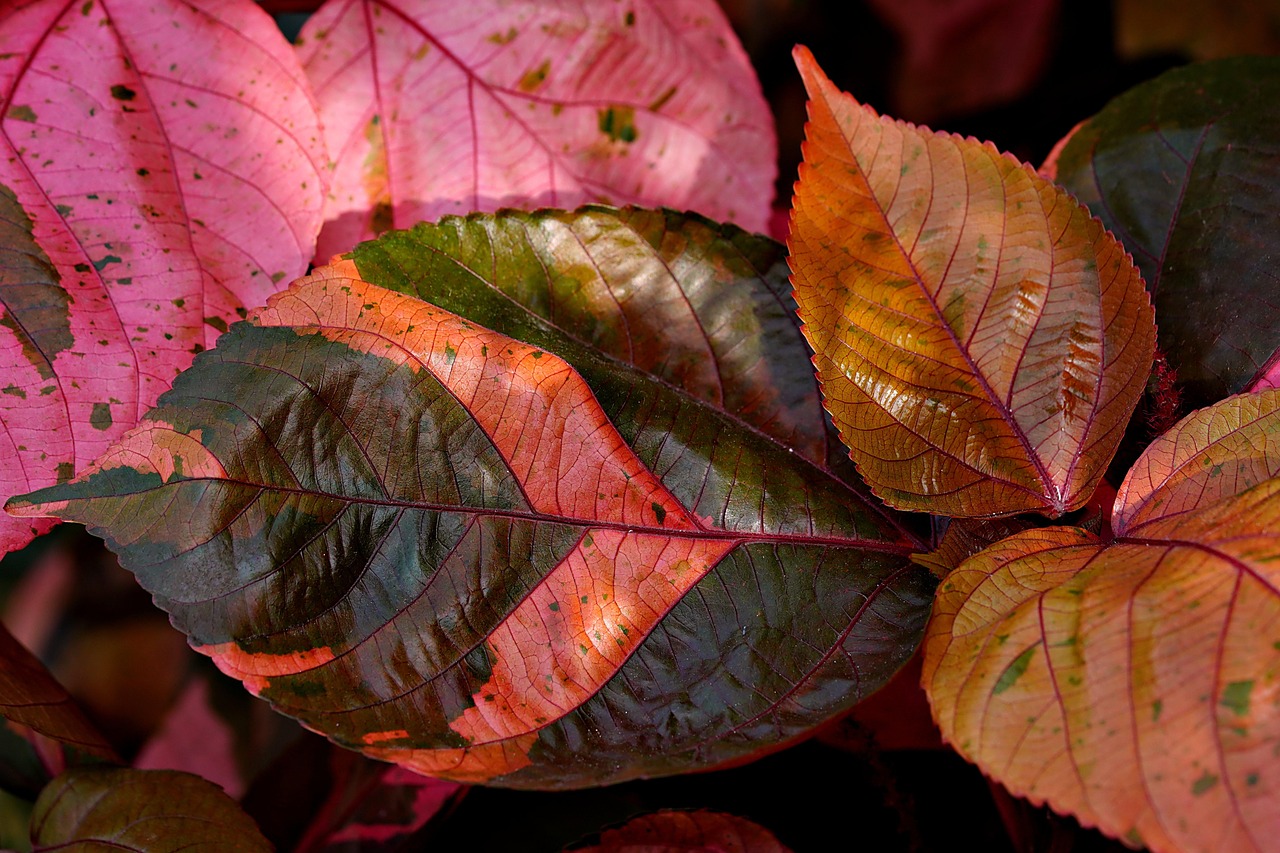 육아휴직 신청 비정규직 전환